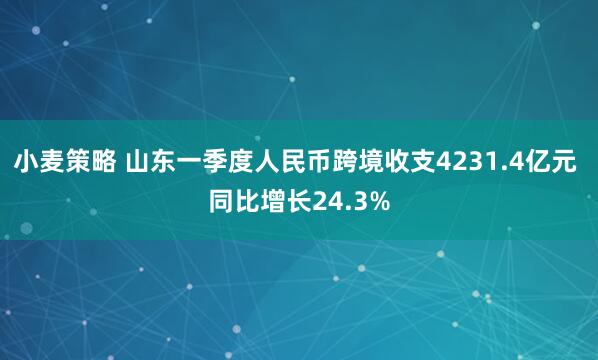小麦策略 山东一季度人民币跨境收支4231.4亿元 同比增长24.3%