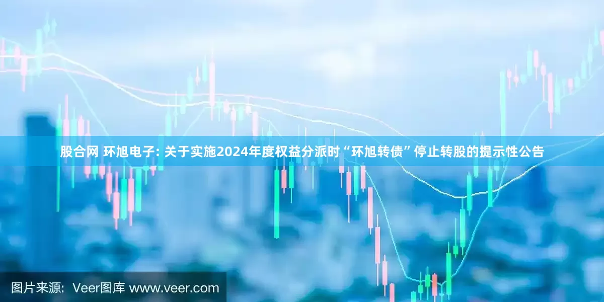 股合网 环旭电子: 关于实施2024年度权益分派时“环旭转债”停止转股的提示性公告