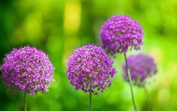 嘉盛投资 惊！这3件不起眼小事，会是婚姻的“致命稻草”？