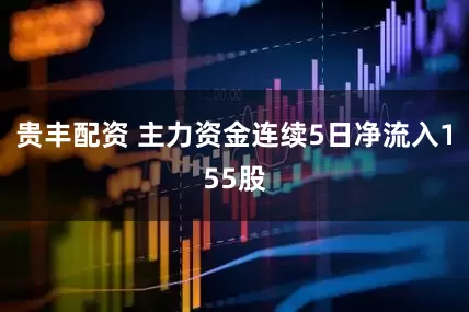 贵丰配资 主力资金连续5日净流入155股